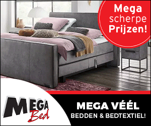 Megabed 300x250 feb 2025